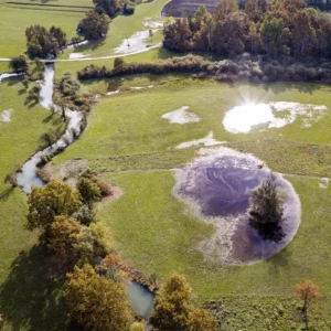 Vodni svet Krajinskega parka Lahinja - Nerajski lugi Vodni svet Krajinskega parka Lahinja - Nerajski lugi