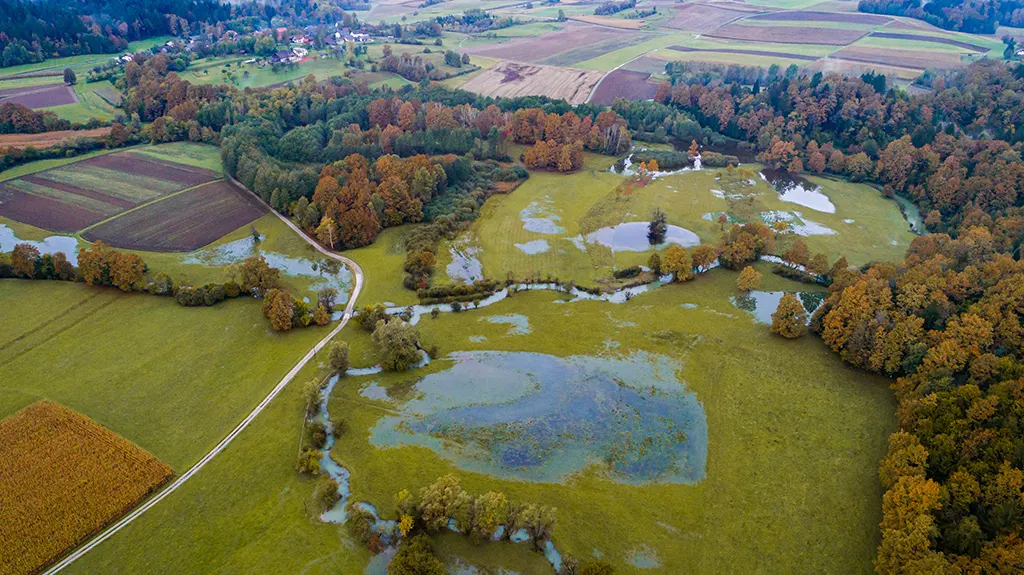 Nerajski lugi