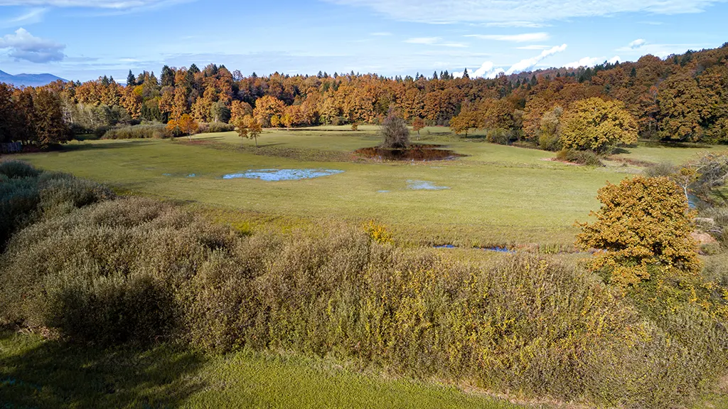 Nerajski lugi