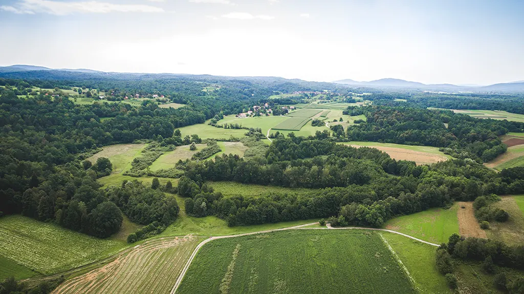Nerajski lugi